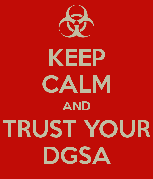 ./assets/pictures/dgsa.jpg
